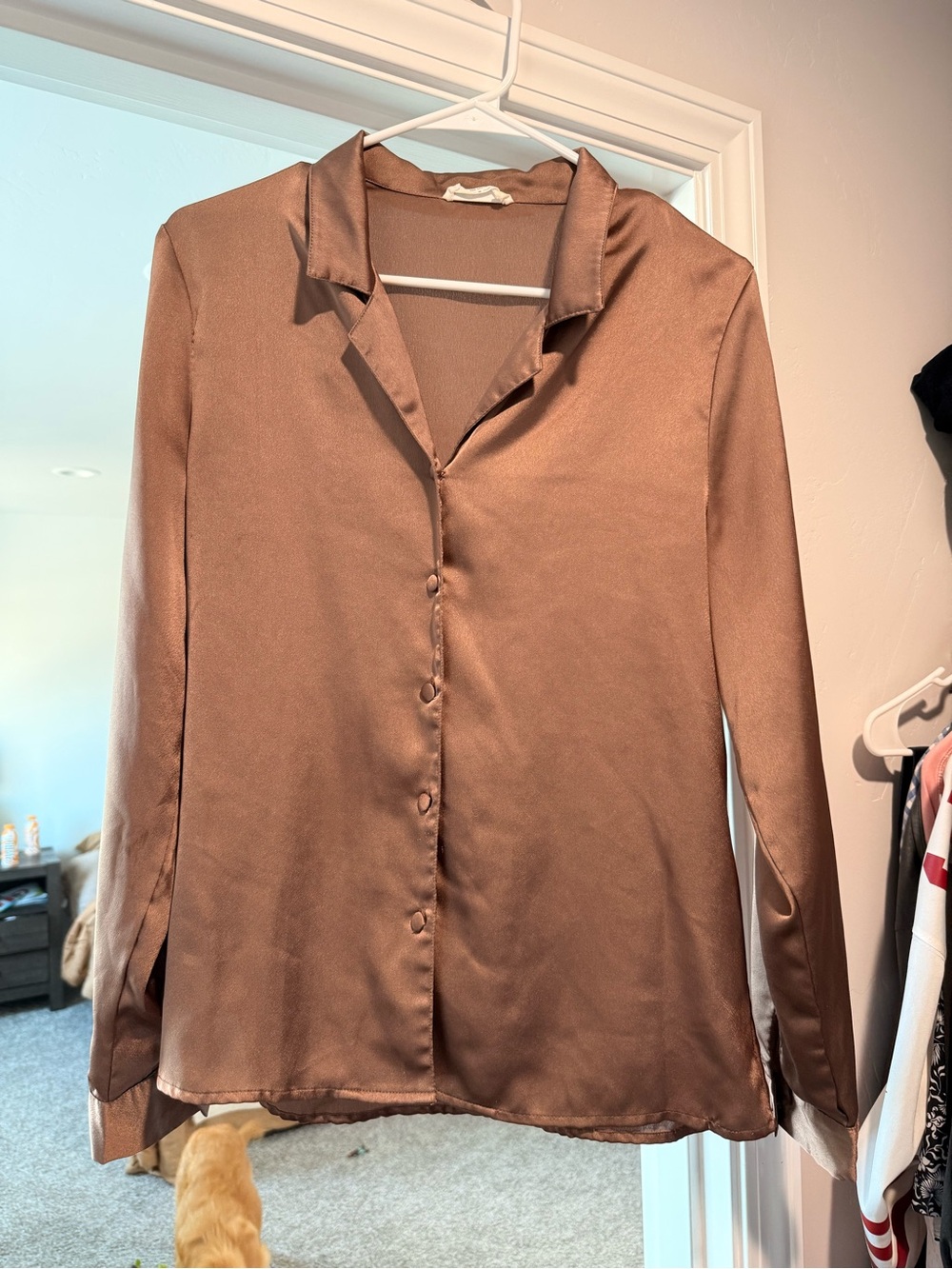 Vici Satin Button-Front Blouse in Bronze